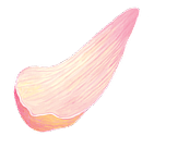 캐릭터